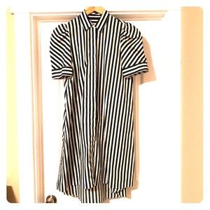 Zara Hi-Lo Stripe Shirt Dress, Forest Green/White